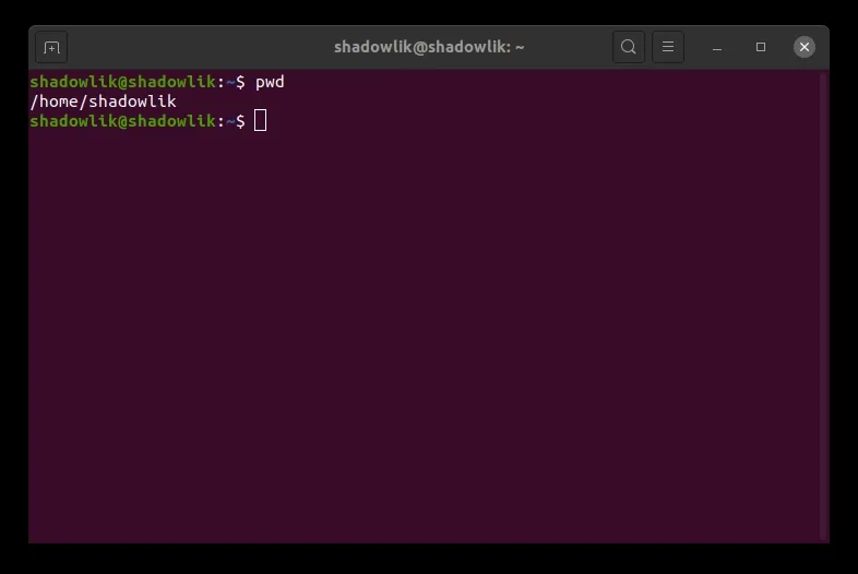 Using the pwd command