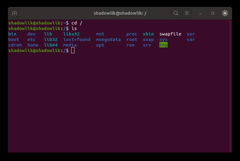 Using the ls command
