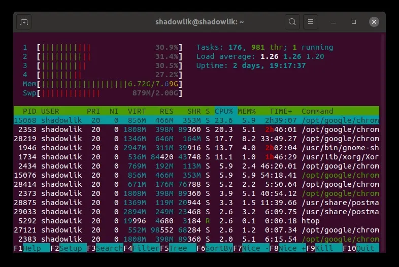Using htop application