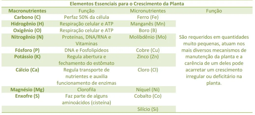 Macro y micronutrientes