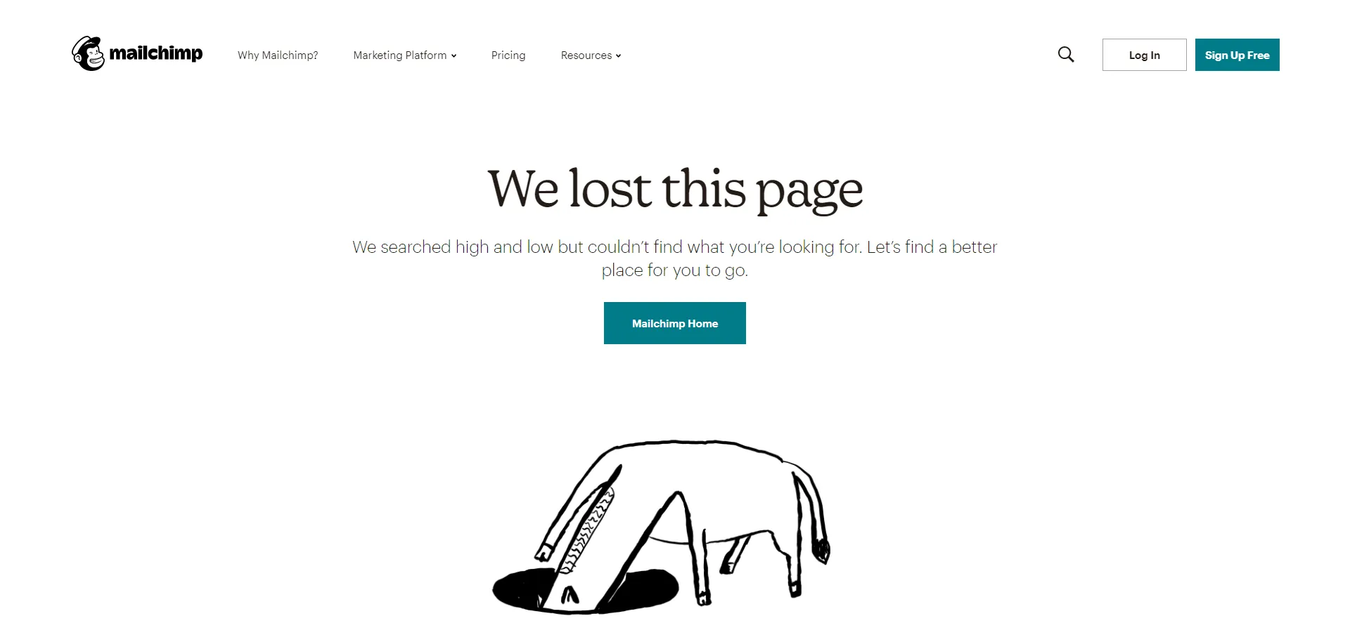 Mailchimp 404