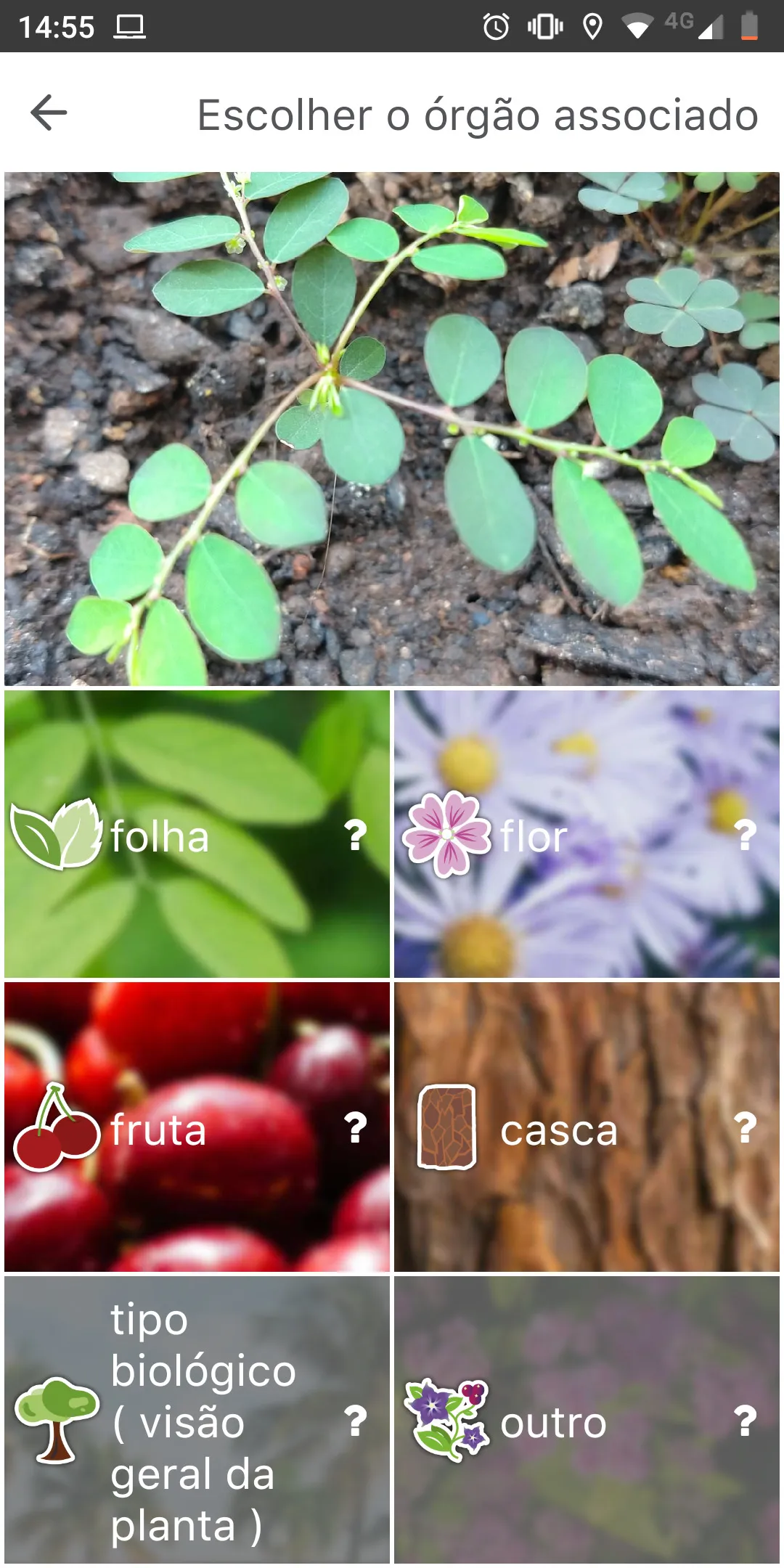Órgano selecto de PlantNet