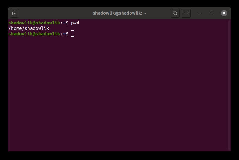Using the pwd command