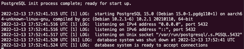 Running Postgres on Docker