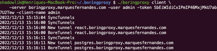 boringproxy client